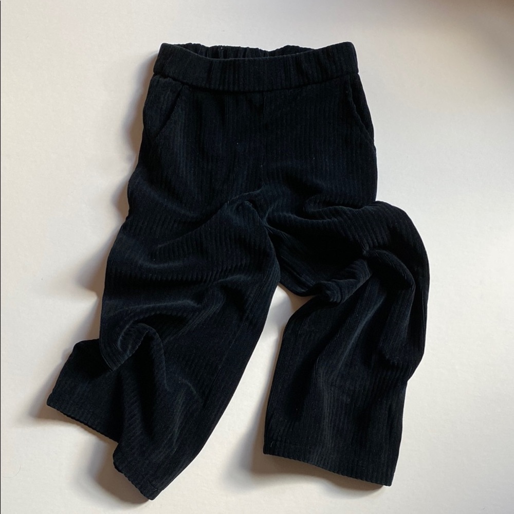 Zara wide leg Corduroy Pants